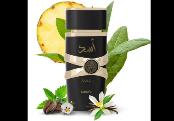 عطر لطافه اسد - ادکلن Lattafa Asad - Image 6