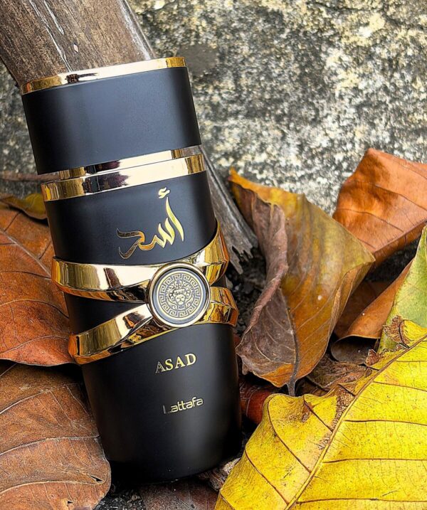 عطر لطافه اسد - ادکلن Lattafa Asad - Image 5