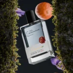 عطر کرنفورد الگانس - ادکلن Cranford Exclusive Collection Elegance - Image 5
