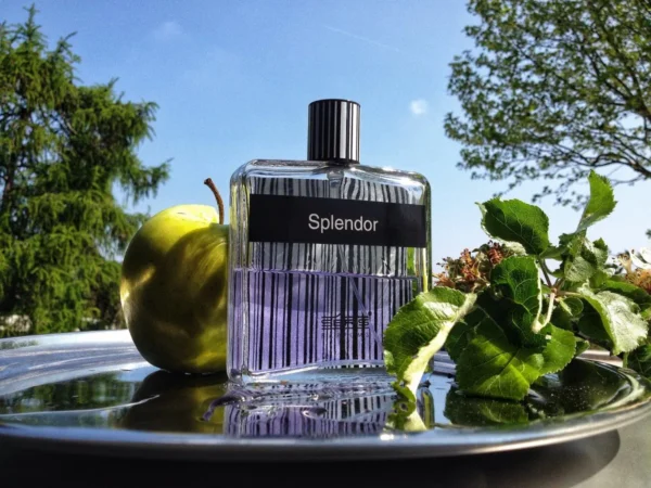 عطر اسپلندور - ادکلن Splendor - Image 4