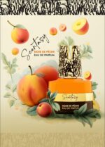 عطر سنتاسی نویر د پیچ - ادکلن Scentasy Noir de Peche - Image 5