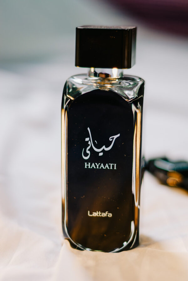 حیاتی - Hayaati - Image 3