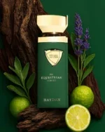 ان اکواسترین سریس هیدن - An Equestrian Series Haydan - Image 4
