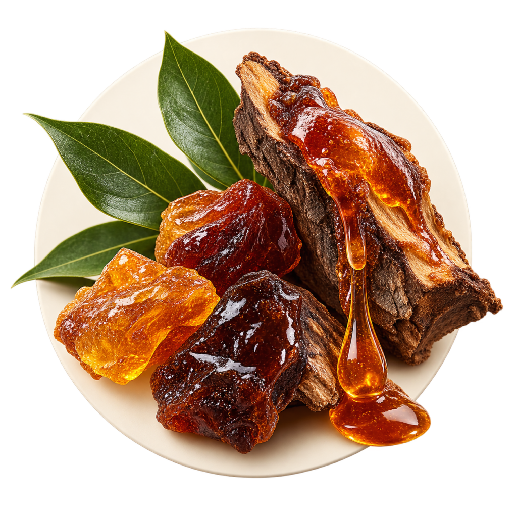 استایراکس - Styrax
