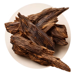 عود