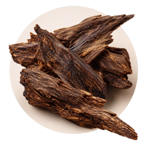 عود - Agarwood (Oud)