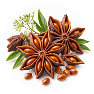 انیسی (بادیان رومی)