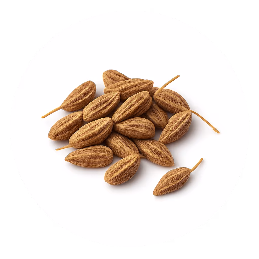 انیسون - Anise
