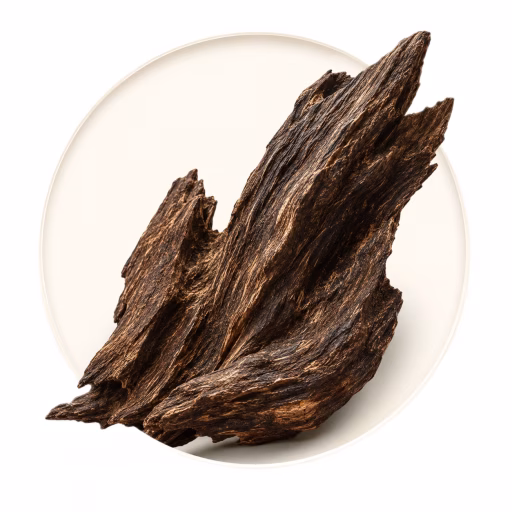 عود استرالیایی - Australian Oud