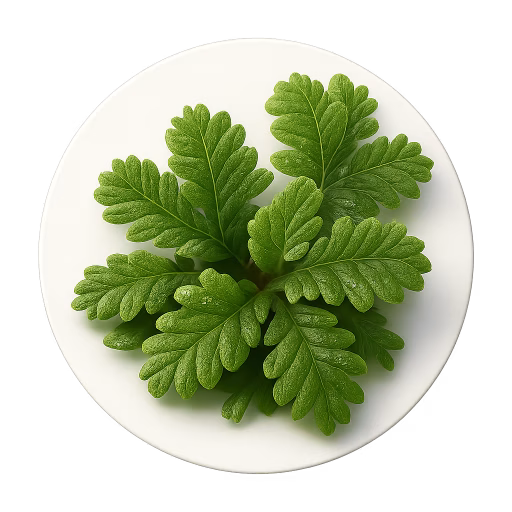 آزولا - Azolla (Water Fern)