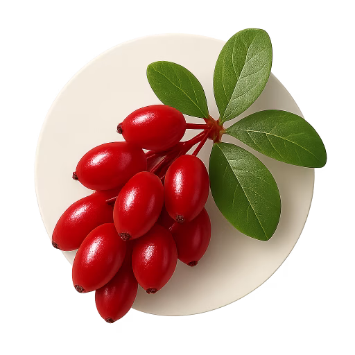 زرشک - Barberry