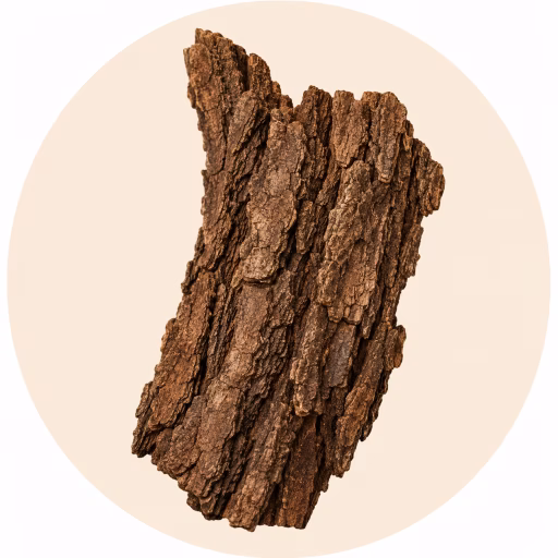 پوست درخت - Bark