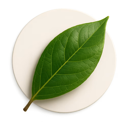 برگ بو - Bay Leaf