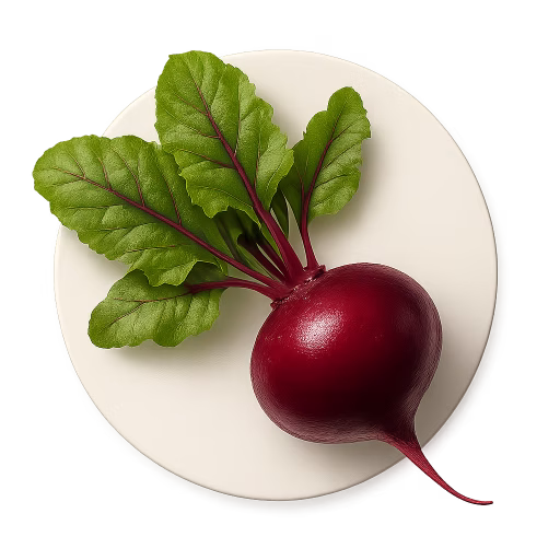 چغندر - Beetroot