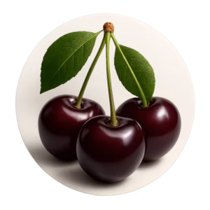 گیلاس سیاه