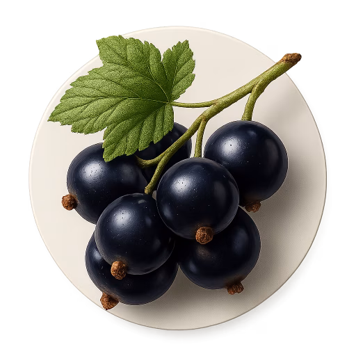 انگور فرنگی سیاه - Black Currant