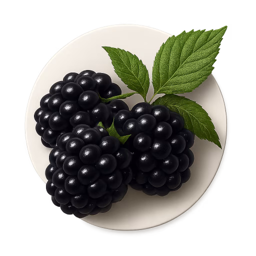 شاه‌توت - Blackberry