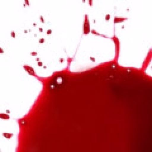 خون - Blood