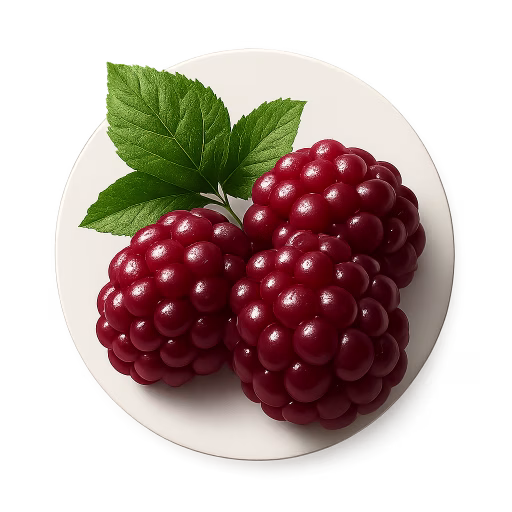 بویسن‌بری - Boysenberry