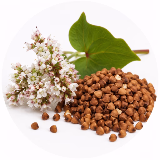 گندم سیاه - Buckwheat