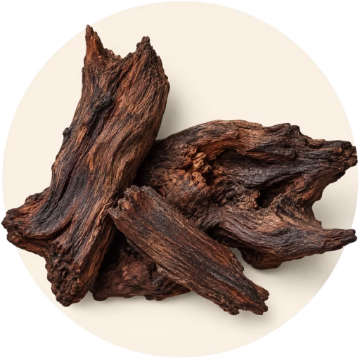 چوب بودا - Buddha Wood