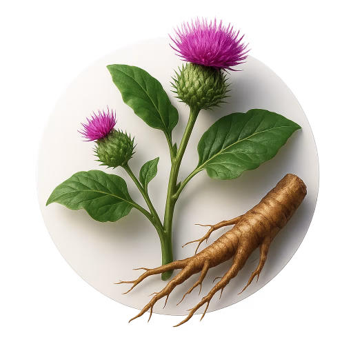 باباآدم - Burdock