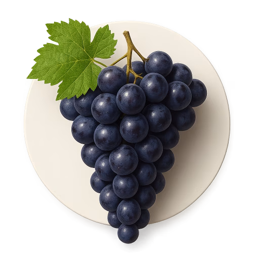 انگور کابرنه - Cabernet Grape