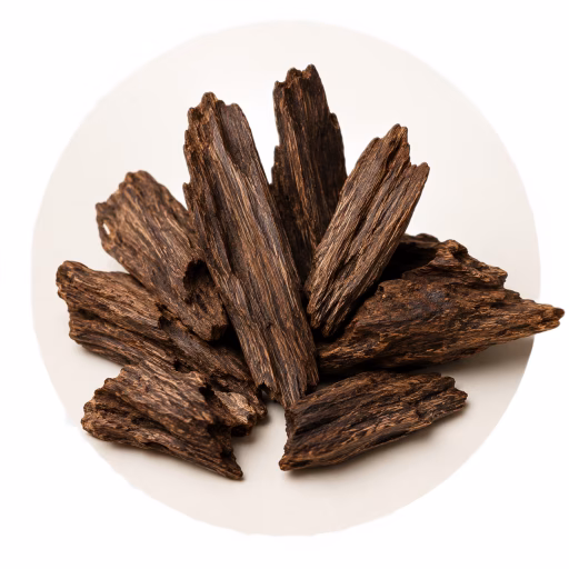 عود کامبوجی - Cambodian Oud