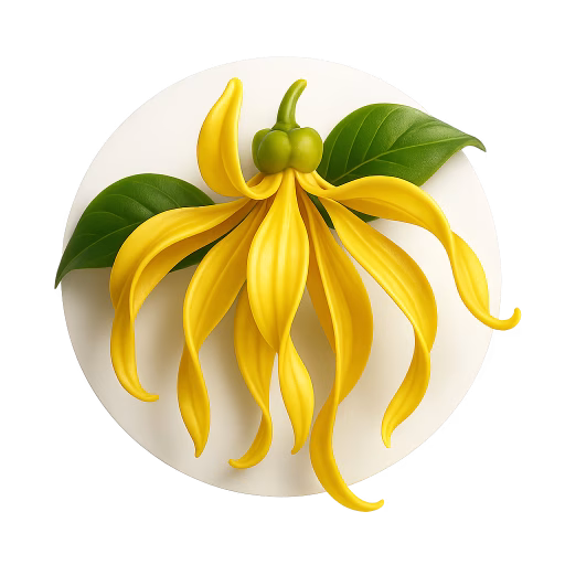 کانانگا - Cananga