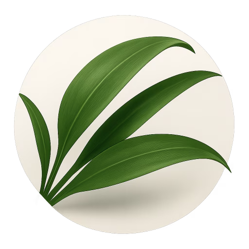 برگ گل میخک - Carnation Leaves