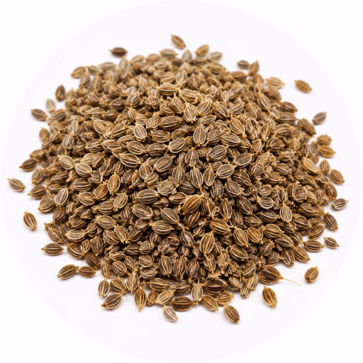 دانه کرفس - Celery Seeds