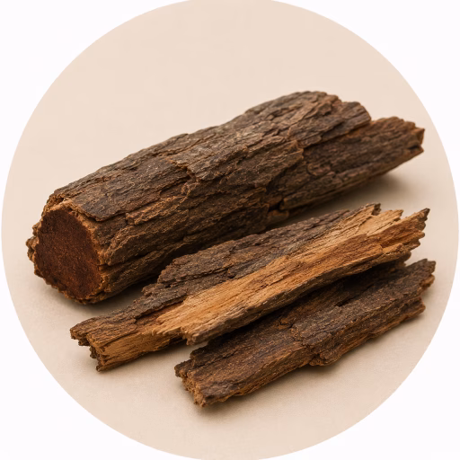 پوست چالود - Chalood Bark
