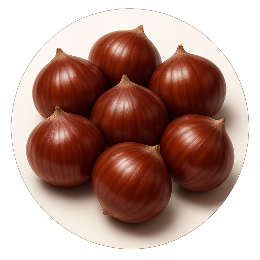 شاه‌بلوط - Chestnut