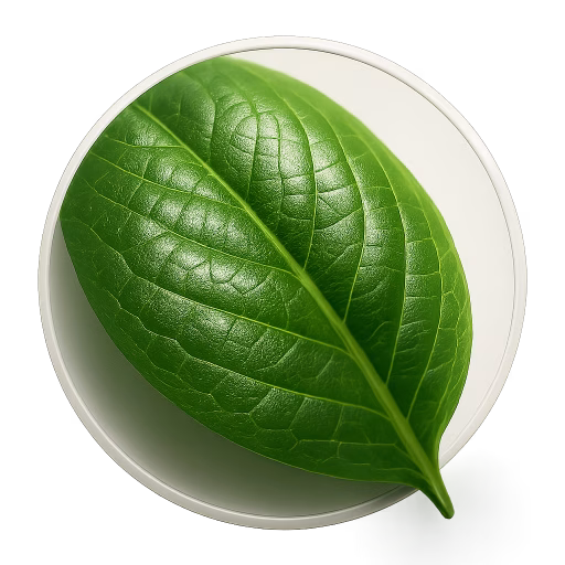 کلروفیل - Chlorophyll
