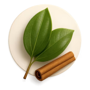برگ دارچین