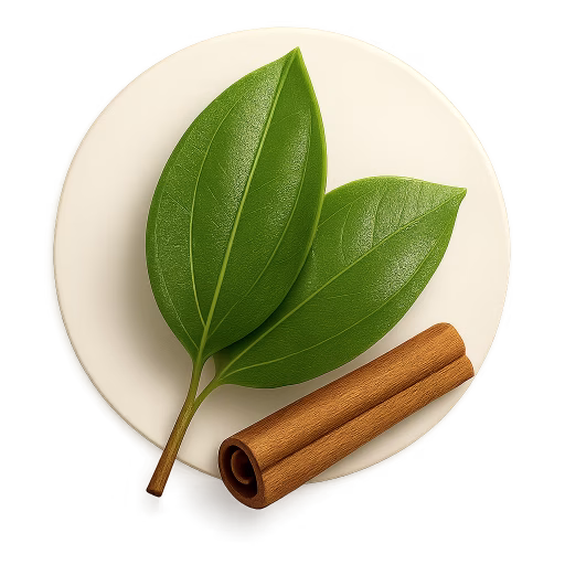 برگ دارچین - Cinnamon Leaf