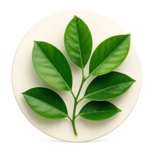 برگ بالنگ - Citron Leaf