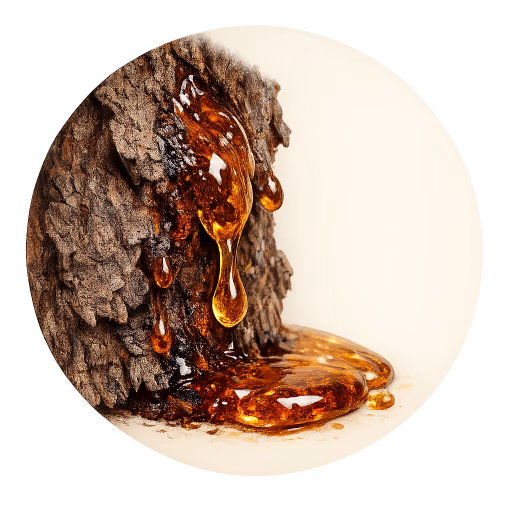 بالزام کوپاهو - Copahu Balm
