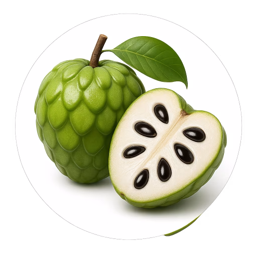 سیب شکری - Count's Fruit