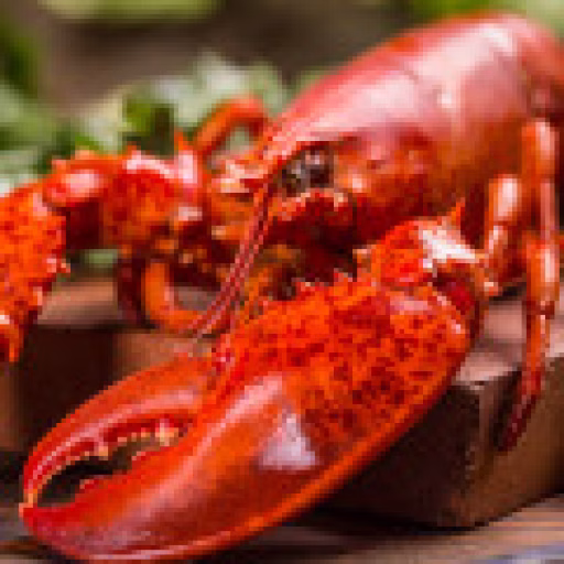 سخت‌پوستان دریایی - Crustaceans