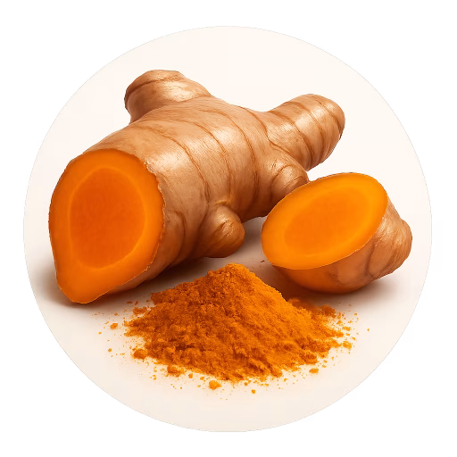 زردچوبه - Curcuma (Turmeric)