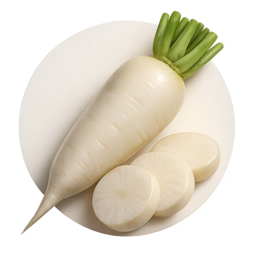 ترب دایکون - Daikon Radish