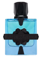 عطر آروماتیکس ایکس فرنچ اونیو مگنتیک – ادکلن Aromatix X French Avenue Magnetiq