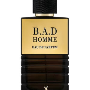 عطر میسون الحمبرا بد هوم – ادکلن Maison Alhambra B.A.D. Homme