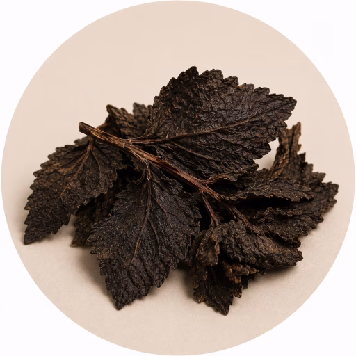 پچولی تیره - Dark Patchouli