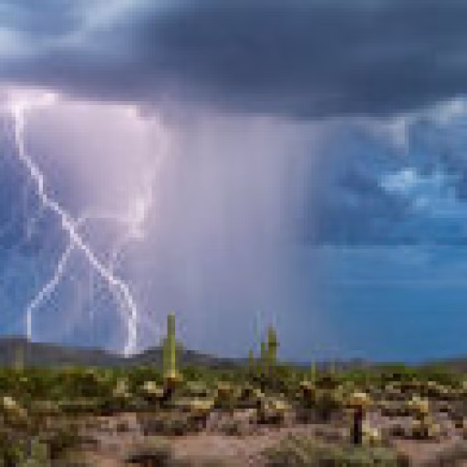 آکورد باران بیابان - Desert Rain Accord
