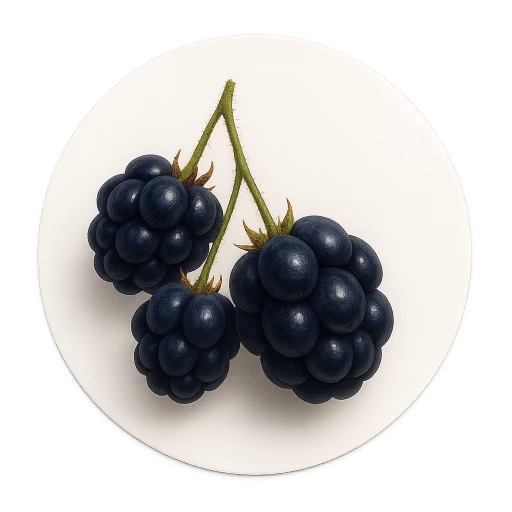 تمشک کبود - Dewberry