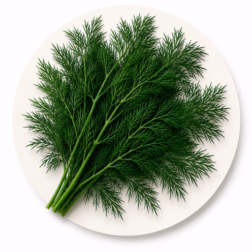 شوید - Dill