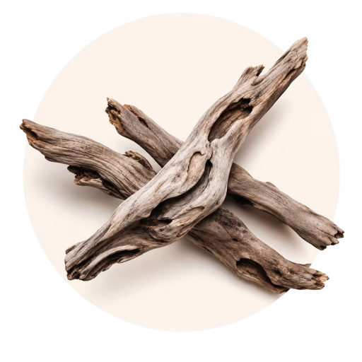 چوب شناور - Driftwood