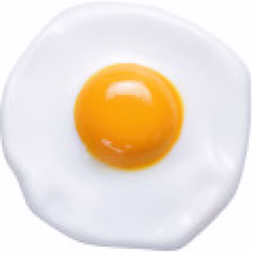 تخم‌مرغ - Egg